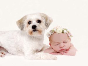 Tiny Violets Photography, Newborn baby photoshoot, newborn photo shoot, newborn photos, newborn photographer, newborn photo session, newborn and siblings, newborn and brothers, newborn and sisters, newborn and family 
