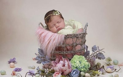 Newborn Baby Spring Photo shoot