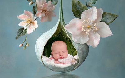 Your Newborn Baby Photoshoot